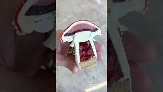 The Mushroom!! 🍄 The last strawberries of the season. 🍓