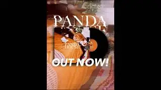 NEW From Detroit- Alternative Rock band Panda House releases SELF-Titled LP!