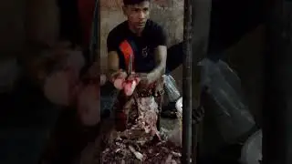 Amazing Fish Cutting Skills in Market || Fast Workers Fish Cutting || Local Cutting Skills