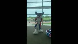 Free Fur All 2022 Ball pit Arkansas run