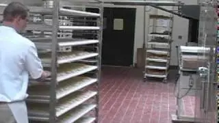 Crustica - WP Bakery Group
