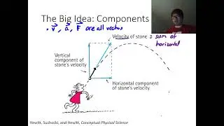 Projectile Motion - A Conceptual Overview
