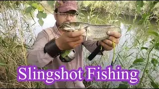 Sling shot Fishing🐟 Fishing Using Sling Shot #offsquad #spoutoffocus #outoffocus