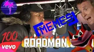 THE TING GOES MEMES