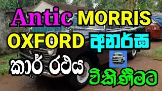 Morris Oxford Car Sale|CSB Vehicle Sale|Car Sale|මොරිස් ඔක්ස්ෆර්ඩ් කාර් විකිණීම|Ikman.lk|Patpat.lk