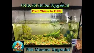 10 Gallon Aquarium Makeover &rarr; Upgraded to a 20 Gallon!