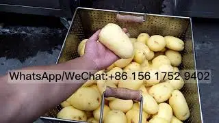 Potato chips machine frozen french fries machinery  semi automatic french fried production line