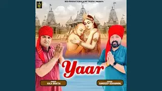 Yaar