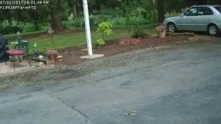 Robin's Nest Live Stream