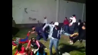 Harlem shake (Duarte&acute;s)