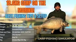 18KG CARP on The Marina! 💥 Best Fishing Tips & Setup | Carp Fishing Simulator
