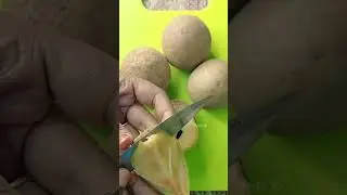 sapodilla fruit 😋