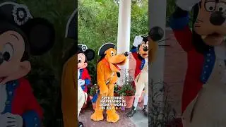 Everything in Disney World in July