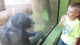 Lots of POOP, Gross Animals, and a Tiger got LOOSE! Follow me around the ZOO!!