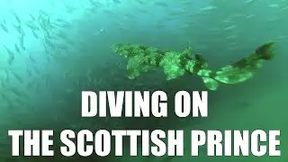 Diving the Scottish Prince. Gold Coast Australia