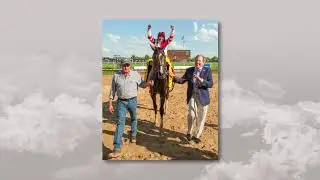 Ноябрьская распродажа Fasig-Tipton: SONGBIRD (полная версия)