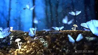Restore Calm | Relaxing Stress Relief Meditation  💤 Sleep Easy Relax | Sleep Music | Study Music