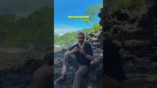 Энтеогены и Аутизм: Перенастройка Мозга