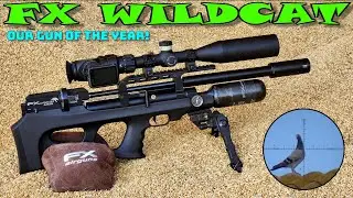 FX Wildcat MK3 BT Compact | Пневматическое оружие года | FX Impact M3 800 мм | Охота на голубей | Борьба с вредителями