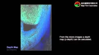 3D機器視覺及機械手臂檢測丨Raytrix光場相機丨hVI高識能