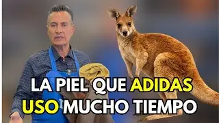 ESTA PIEL HA VIAJADO MILES DE KIL&Oacute;METROS&hellip; | EL MALCREADO