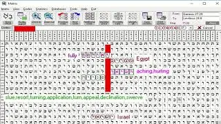 18 - 26 August Torah Code
