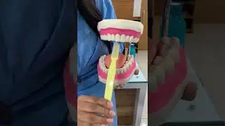 Brush right,Smile bright.#brushing #dentist#dentalhealth #reels#foryou#fyp #dentaltips#trending