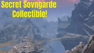 The Rare Collectible in Sovngarde Most Skyrim Players Miss