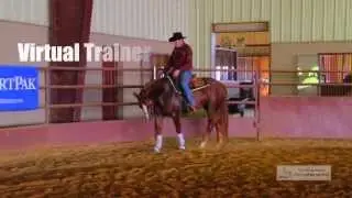 Virtual Horse Help