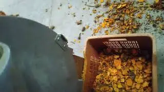 Turmeric Slicer