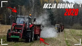 ☆Zetor & Ursus w akcji!☆Akcja Obornik!✔☆Ursus c-360☆Zetor 10045☆New Holland TD 5050☆