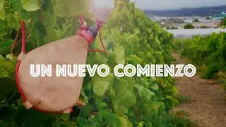 ANFGC SPANISH LIVESTREAM