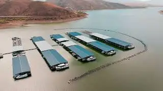 Roosevelt Lake Marina Slips Promo Video 2026