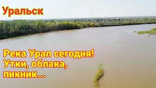 Река Урал сегодня | Утки, облака, пикник...
