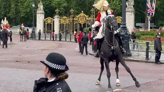 King's Guard Displays Great Level of Horsemanship As Horse Spooked