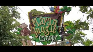Sloths at Mayan Jungle Canopy!  [Roatan, Honduras]