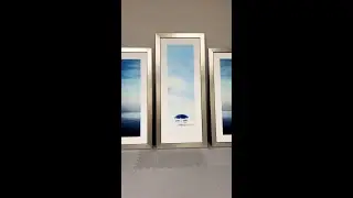 Custom Framed Triptych