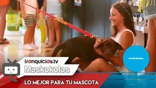 Franquicia Maskokotas