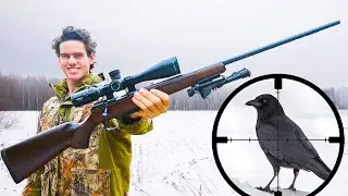 Охота на мелкую дичь с 17HMR! (камера с прицелом)