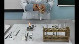Растворимость веществ