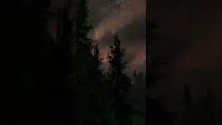 Действительно ли это нападения волков?
