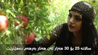 Halabja's Agriculture
