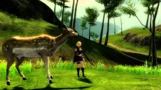 GW2 Exploration #1
