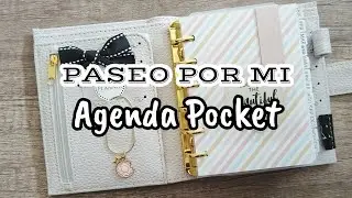 Paseo por mi Agenda Pocket | Miss Planner