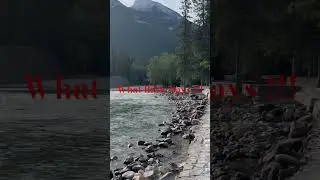 Bible #motivation #inspiration #mindset #success #viralvideo #trendingshorts #trendingreels #shorts