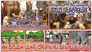 prakasam sp siddarth kaushal conducted police dogs training for theft case | News 12 Tv