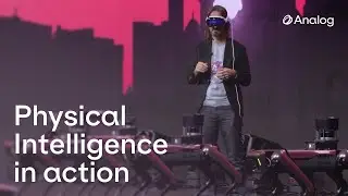 Introducing Ana, the Analog Neural Agent, The Analog World Model, & Analog Robotics