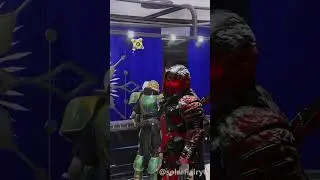 Top 3 Dawning puns in Destiny 2