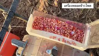 27 มกราคม 2566