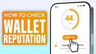 How to Check Wallet Reputation Score? DeFi Creditworthiness & AML Risk